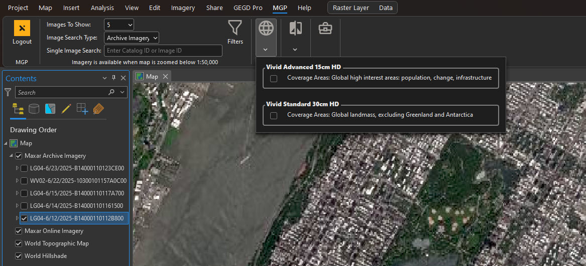 arcgispro-vivid basemap with seamlines