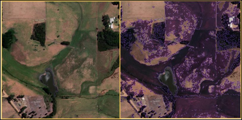 healthy vegetation mask before and after